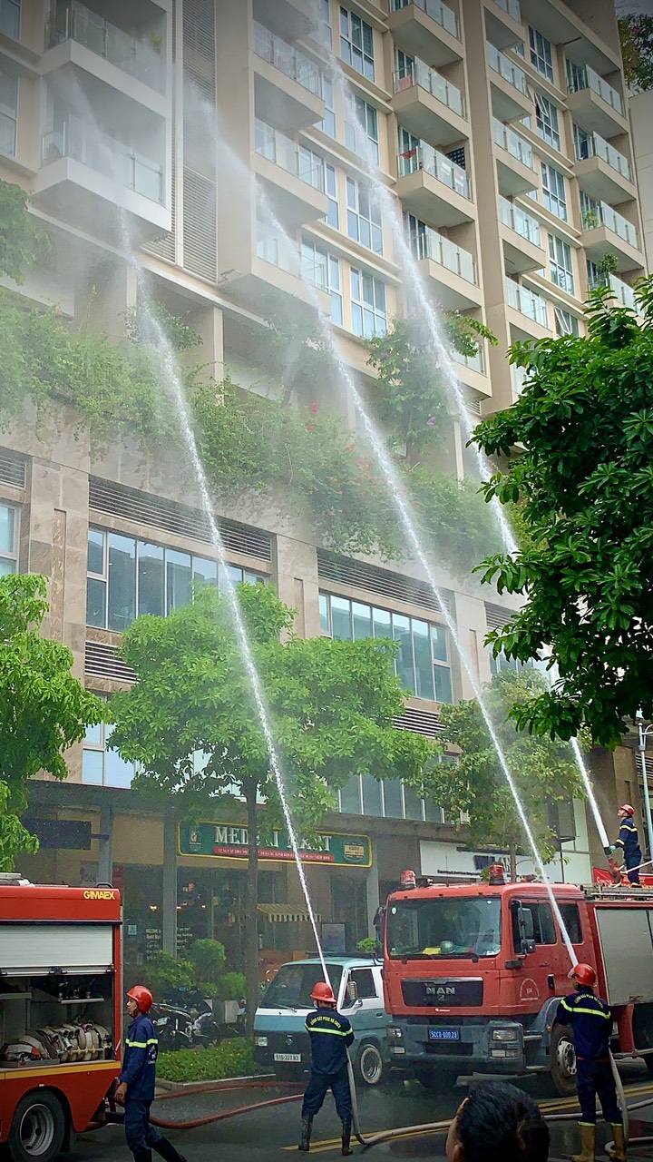 A picture containing outdoor, tree, bus, streetDescription automatically generated