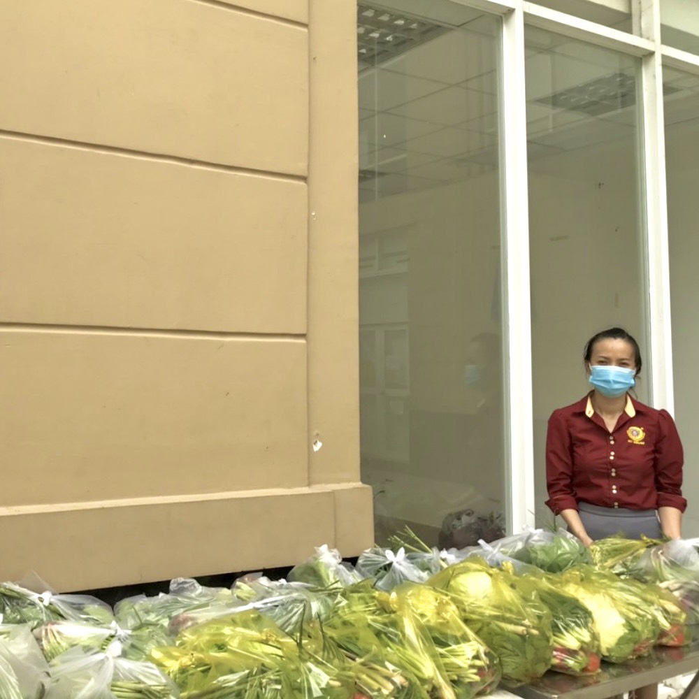 my-house-chia-se-rau-cu-qua