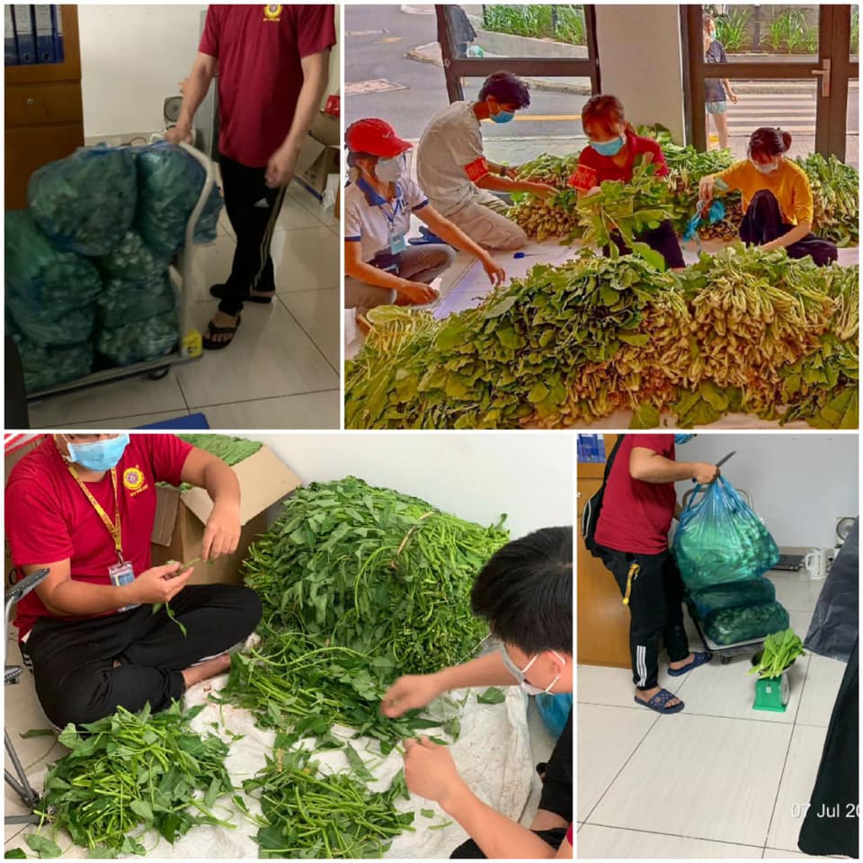 ngay-1-bql-my-house-tuc-truc-tai-chung-cu