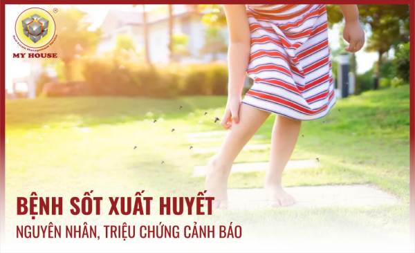 MY HOUSE CẢNH BÁO MÙA DỊCH SỐT XUẤT HUYẾT