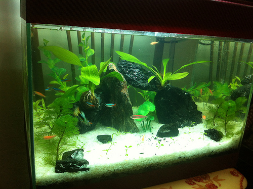 Phong Thủy Không Bao Giờ Ngủ – Tiền Bạc Không Bao Giờ Ngủ.