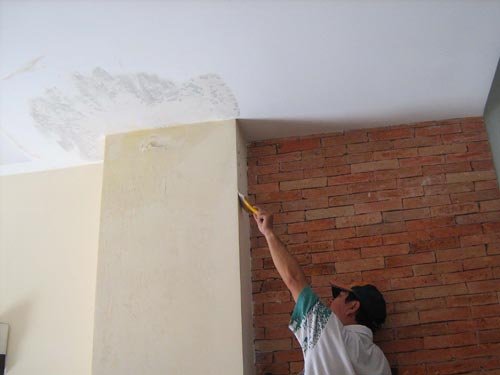 Mẹo tránh ẩm mốc cho nhà bạn